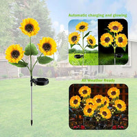 3-Flower Pack
