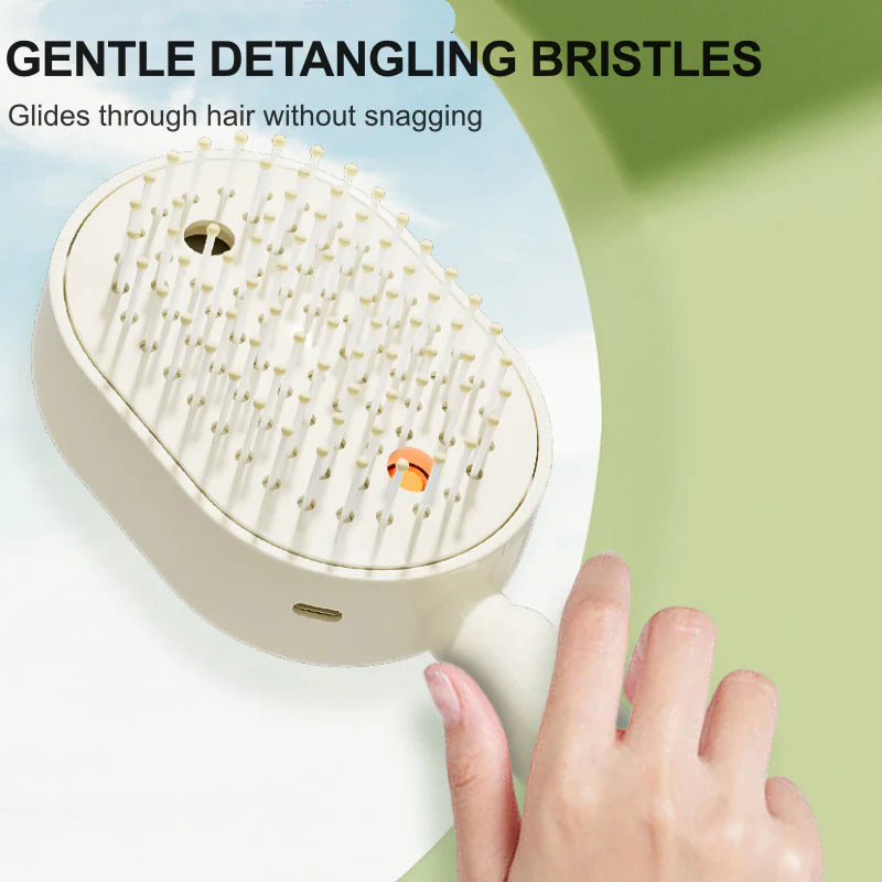 Viahomix™⏳【Limited Offer】50% OFF ! Electric Spray & Massage Hair Brush