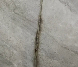 Mold Growth