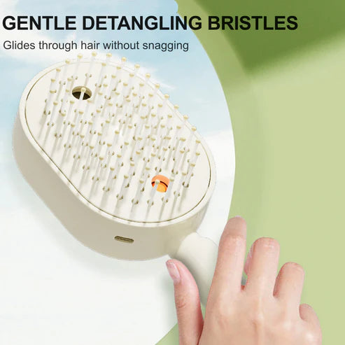 Viahomix™⏳【Limited Offer】50% OFF ! Electric Spray & Massage Hair Brush